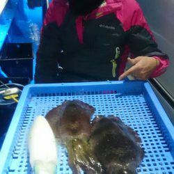 第三共栄丸 釣果