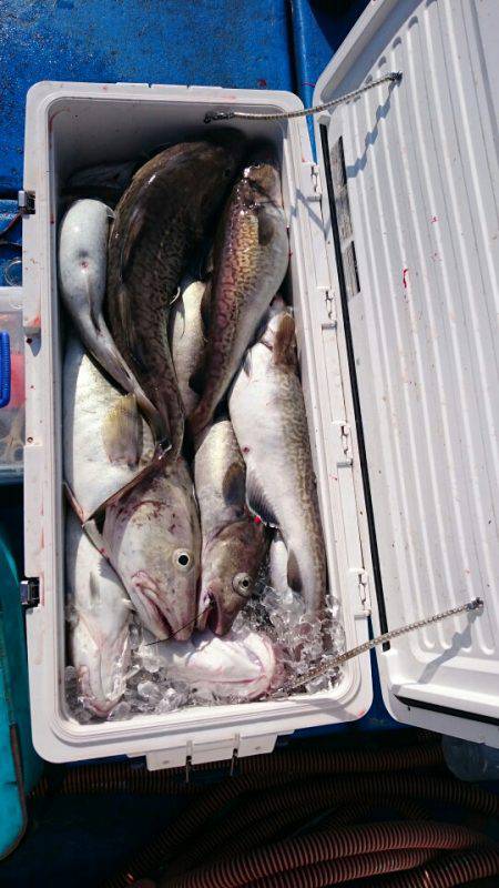 海龍丸（石川） 釣果