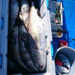 海龍丸（石川） 釣果