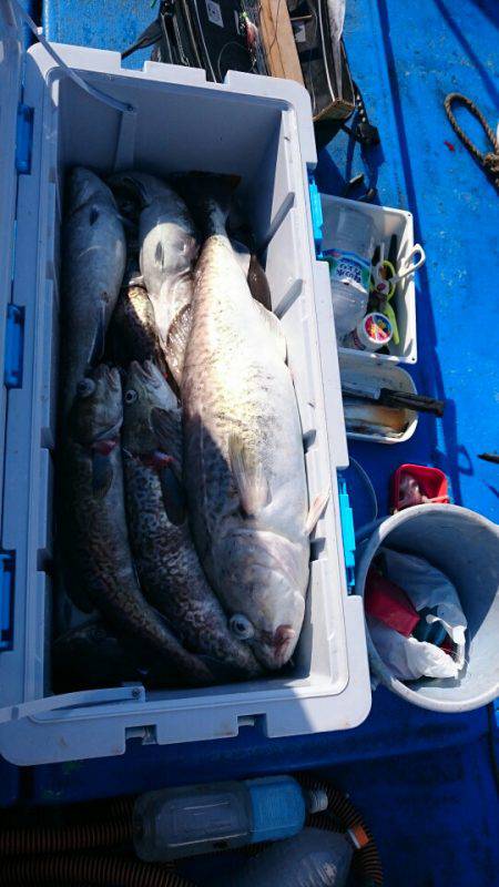 海龍丸（石川） 釣果