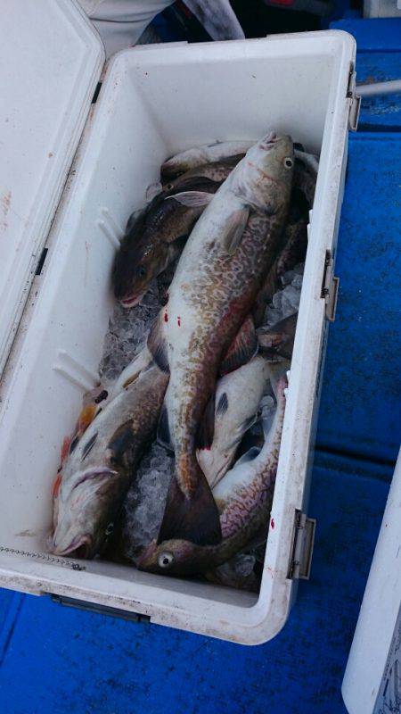 海龍丸（石川） 釣果