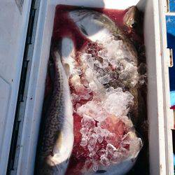 海龍丸（石川） 釣果