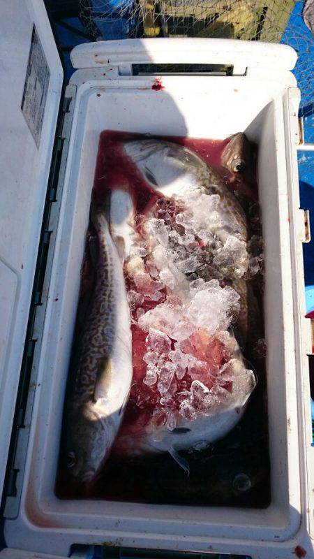 海龍丸（石川） 釣果