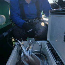 金沢八景鴨下丸 釣果