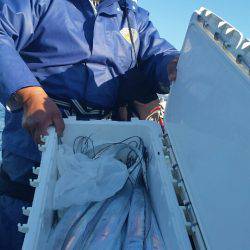 金沢八景鴨下丸 釣果