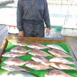 海の釣堀 海恵 釣果