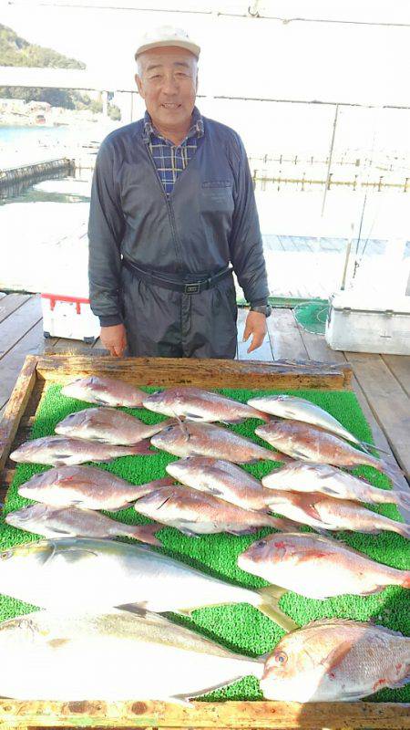 海の釣堀 海恵 釣果