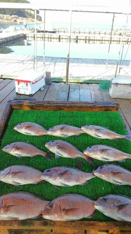 海の釣堀 海恵 釣果
