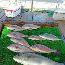 海の釣堀 海恵 釣果