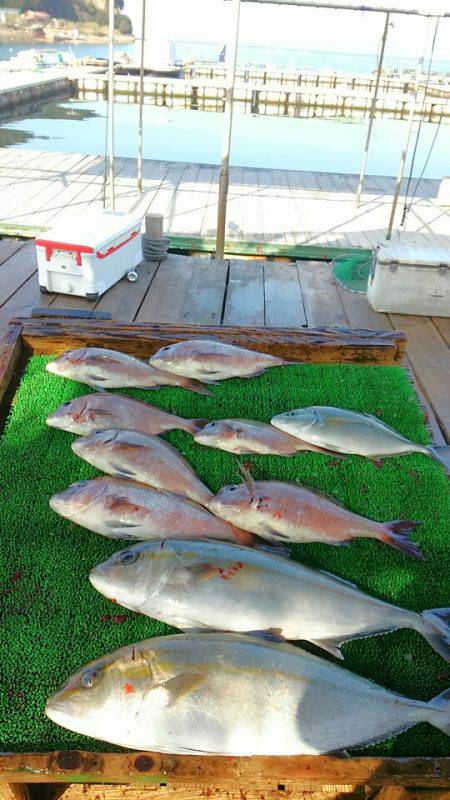 海の釣堀 海恵 釣果