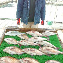 海の釣堀 海恵 釣果