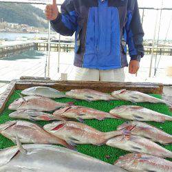 海の釣堀 海恵 釣果