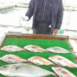 海の釣堀 海恵 釣果