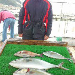 海の釣堀 海恵 釣果