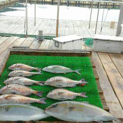 海の釣堀 海恵 釣果
