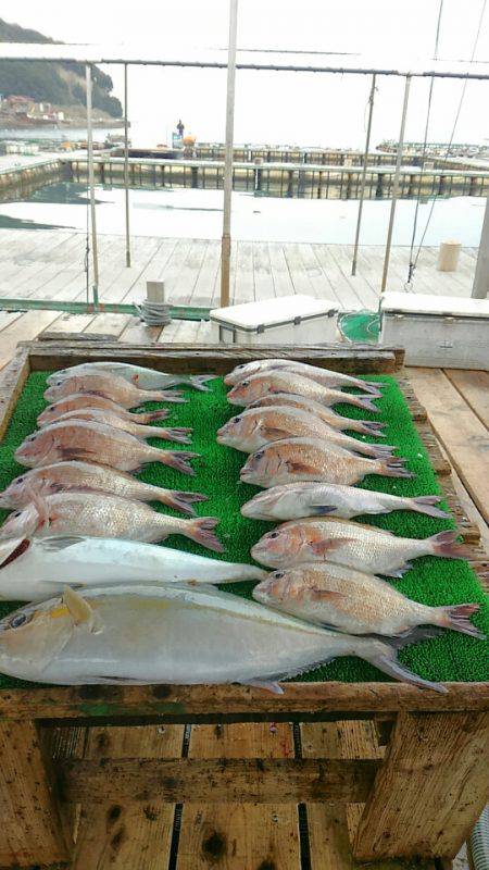 海の釣堀 海恵 釣果
