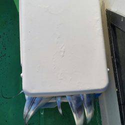 金沢八景鴨下丸 釣果