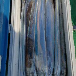 金沢八景鴨下丸 釣果