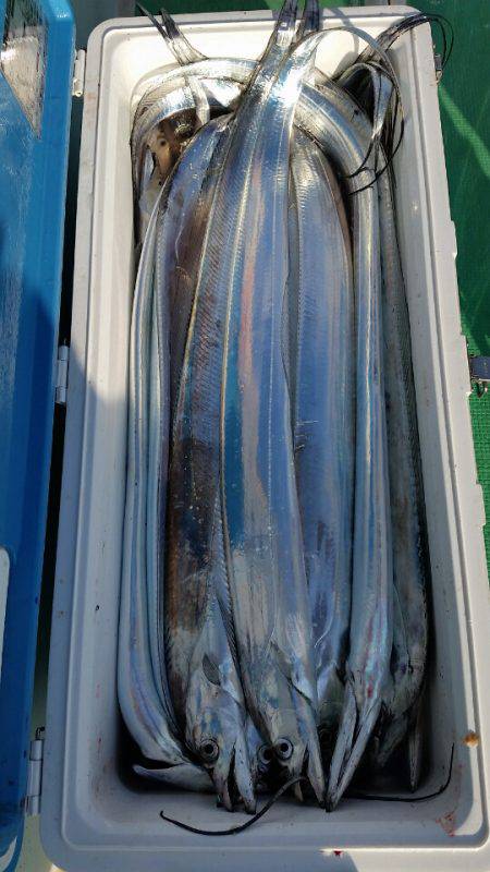 金沢八景鴨下丸 釣果