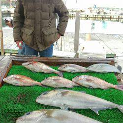 海の釣堀 海恵 釣果