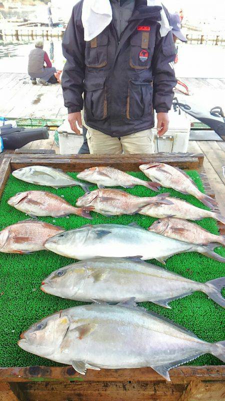海の釣堀 海恵 釣果