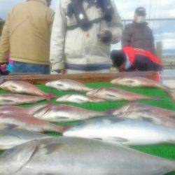 海の釣堀 海恵 釣果
