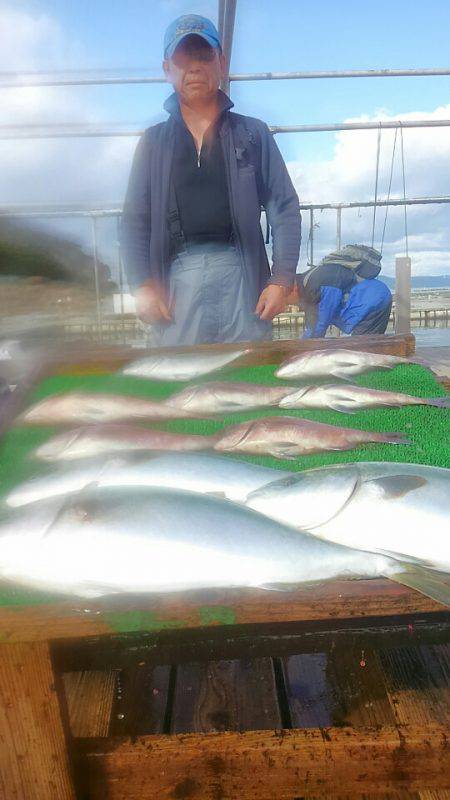 海の釣堀 海恵 釣果