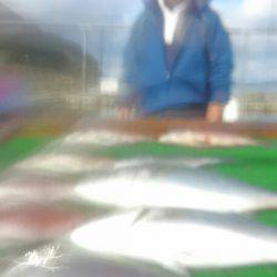 海の釣堀 海恵 釣果