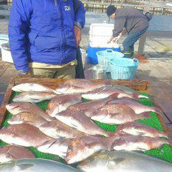 海の釣堀 海恵 釣果