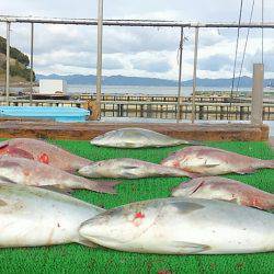 海の釣堀 海恵 釣果