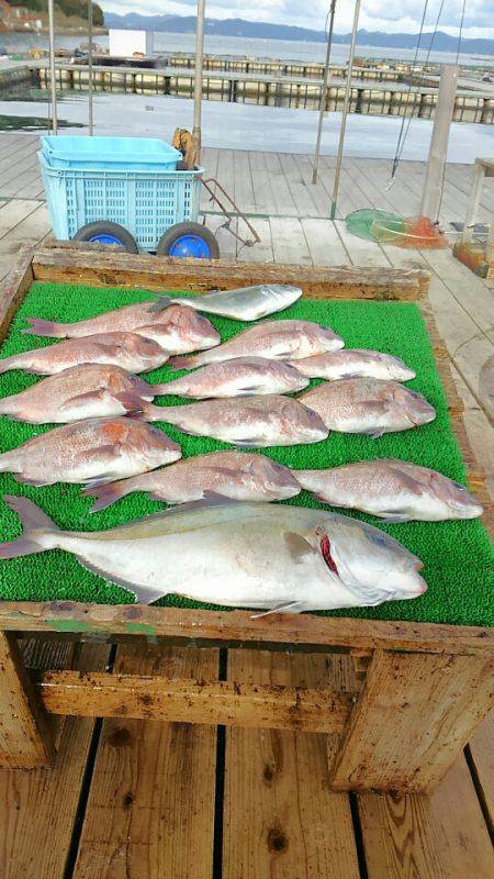 海の釣堀 海恵 釣果