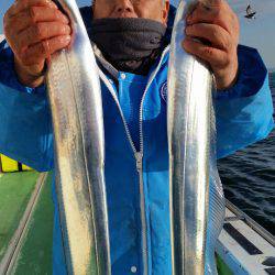 金沢八景鴨下丸 釣果