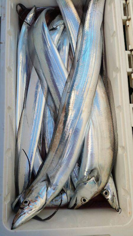 金沢八景鴨下丸 釣果