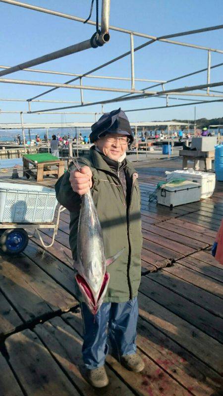 海の釣堀 海恵 釣果