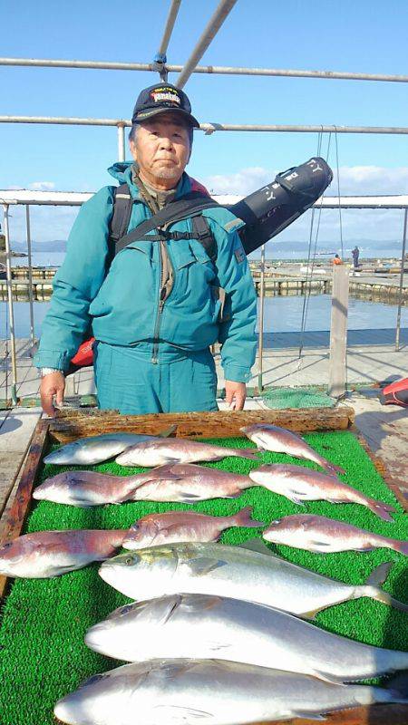 海の釣堀 海恵 釣果