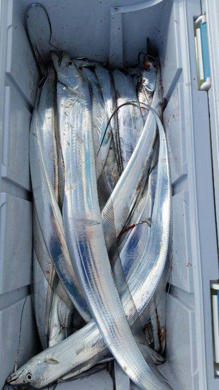 金沢八景鴨下丸 釣果