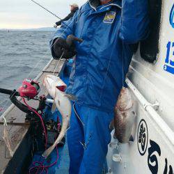 海龍丸(石川) 釣果