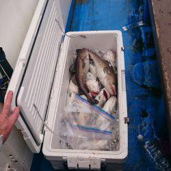 海龍丸(石川) 釣果