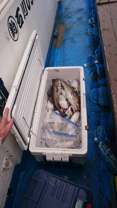 海龍丸(石川) 釣果