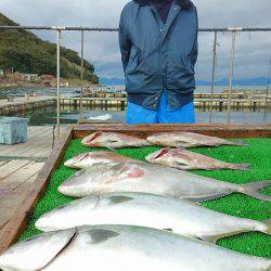 海の釣堀 海恵 釣果