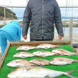 海の釣堀 海恵 釣果