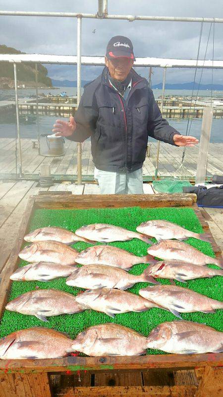 海の釣堀 海恵 釣果