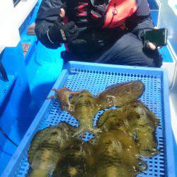 第三共栄丸 釣果