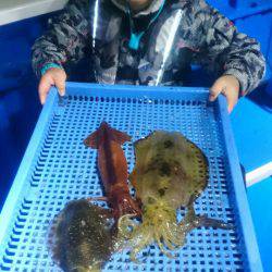 第三共栄丸 釣果