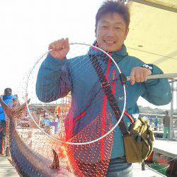 海の釣堀 海恵 釣果