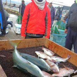 海の釣堀 海恵 釣果