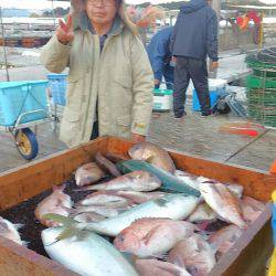 海の釣堀 海恵 釣果