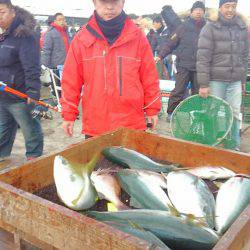 海の釣堀 海恵 釣果