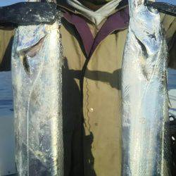 サンマリン 釣果