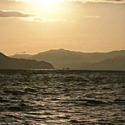 あみや渡船 JIGBOY 釣果